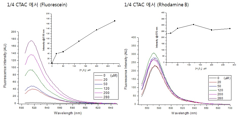 그림 50 CTAC 사용 농도 저하시 나타나는 금 나노입자의 성장의 형광 (fluorescein, rhodamine B)에의 영향