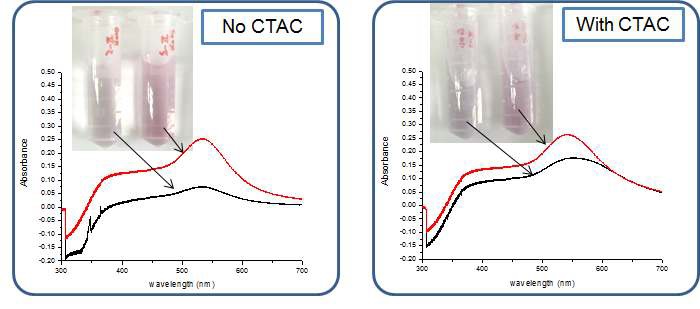 그림 53 금 나노입자의 성장 전후 UV/Vis 흡광도에 대한 CTAC 의 영향