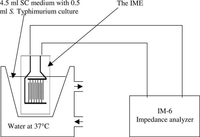 그림 80. S. Typhimurium 검출을 위한 Interdigitated microelectrode (IME)와 임피던스 측정 장비를 나타내는 모식도.