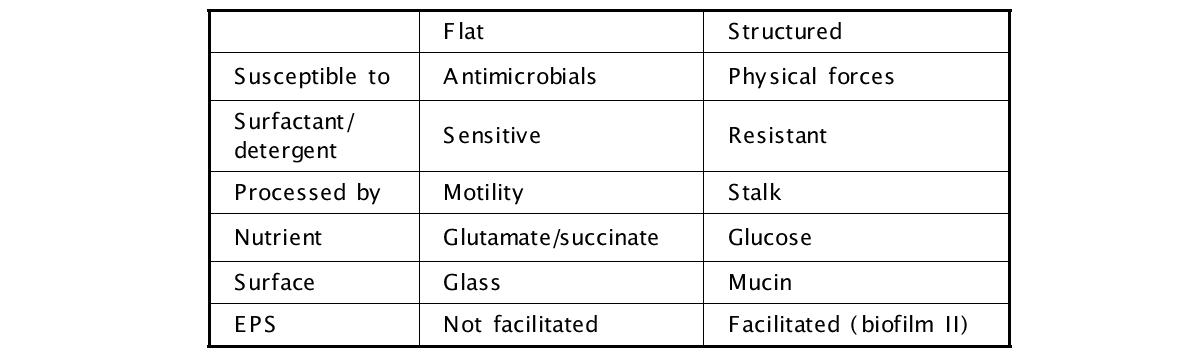 생물막 구조에 따라 달라지는 특성 (평평한 구조와 입체구조 생물막의 비교)