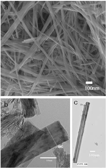 그림. 3-32. (a) TiO2 nanorod의 SEM; (b), (c) TiO2 nanorod TEM