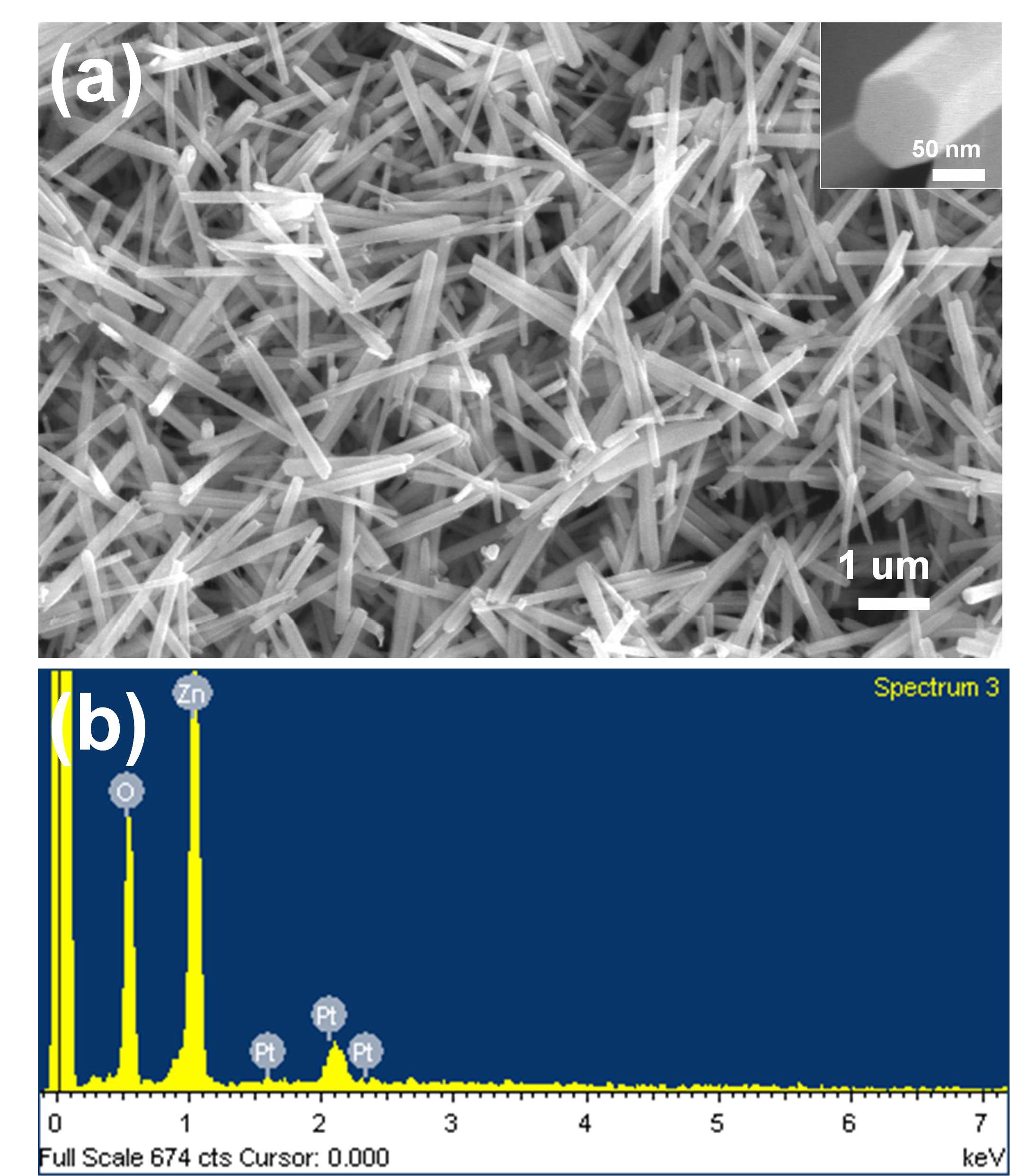 그림. 3-35. (a) SEM image of ZnO nanorods obtained in 0.005 M precursor solution, inset is the tip of nanorod; (b) EDS pattern of ZnO nanorods.