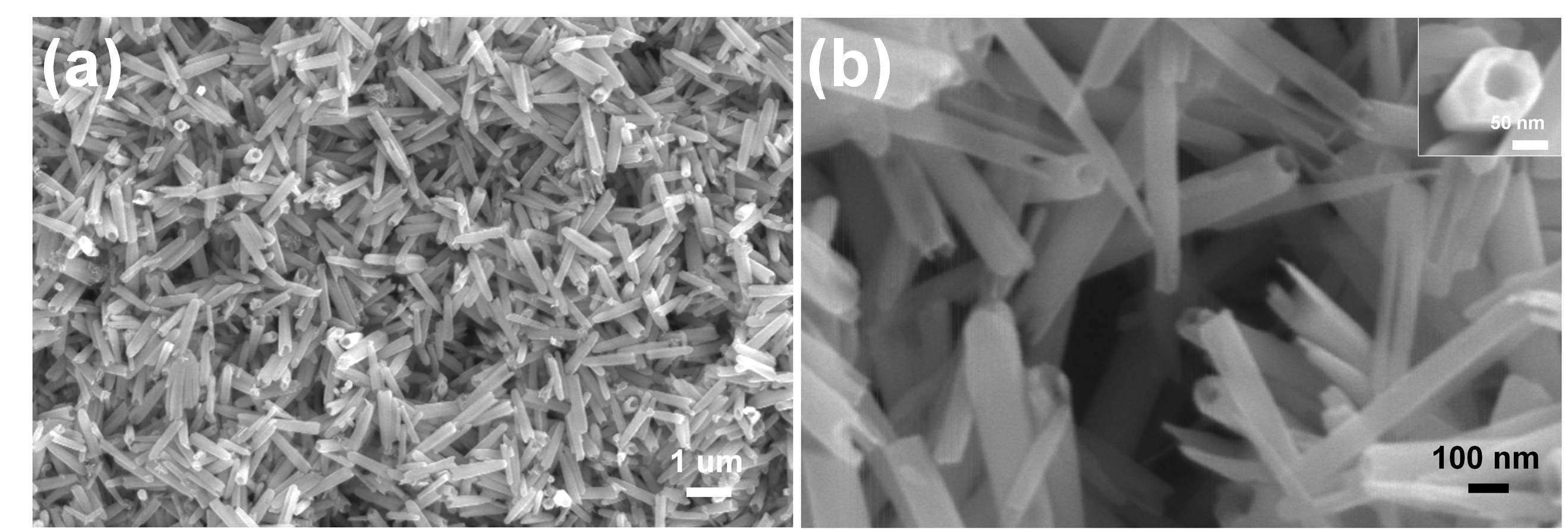 그림. 3-40. (a) SEM image of large-scale ZnO nanotubes; (b) Hollow structure of ZnO nanotubes, inset is the tip of nanotube.