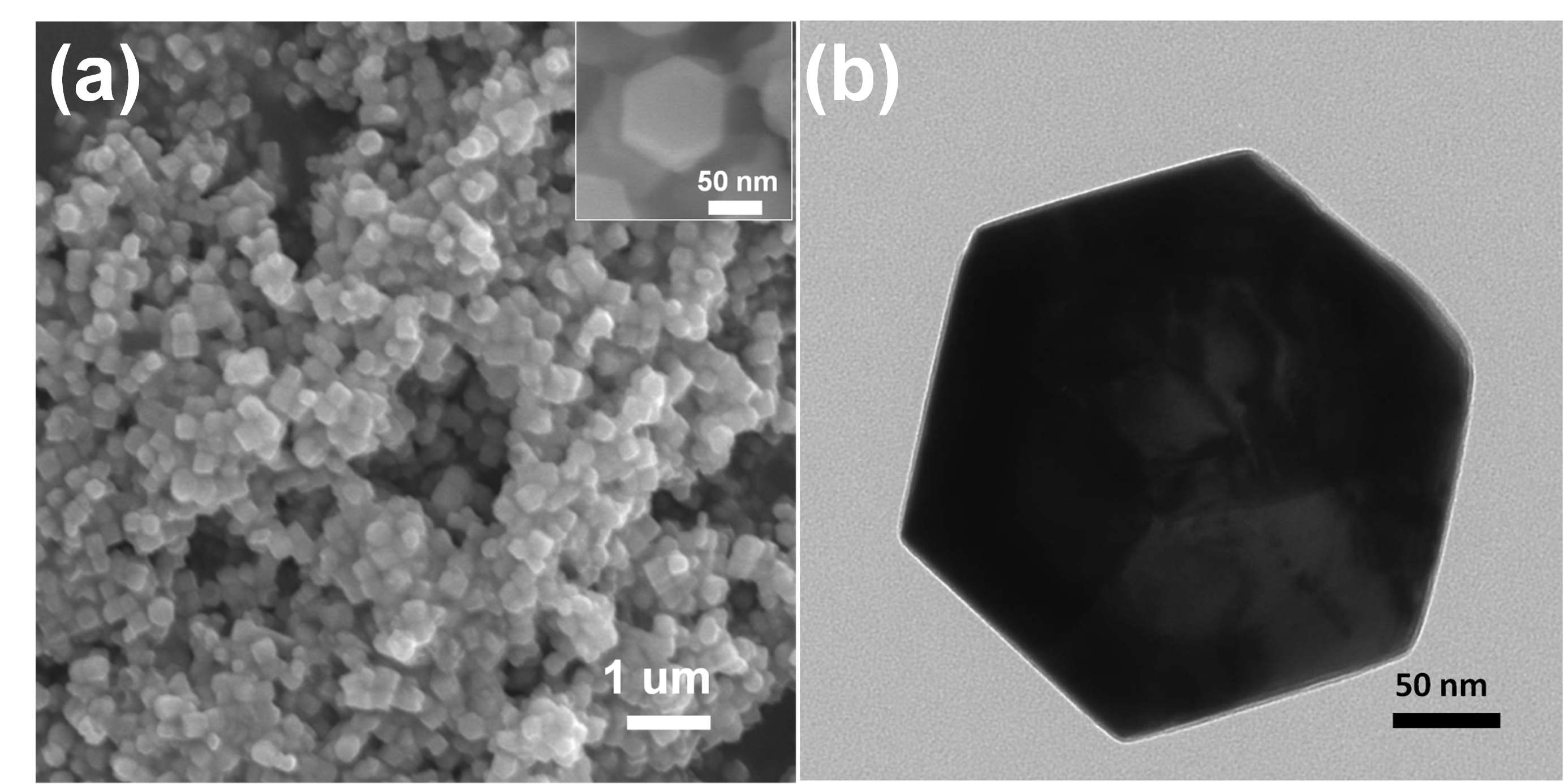 그림 3-42. (a) SEM image of large-scale ZnO nanoparticles, inset is the section of nanoparticles; (b) TEM image of single ZnO nanoparticle.