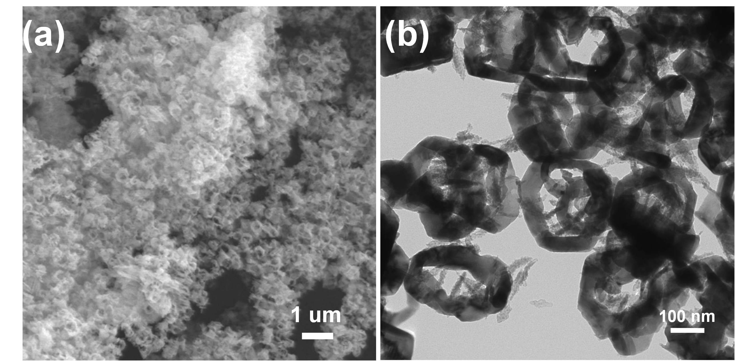 그림 3-43. (a) TEM image of large-scale ZnO nanorings; (b) TEM image of ZnO nanoring.