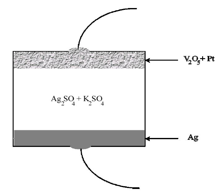 Figure 3-26 The brief diagram of system sensor element.