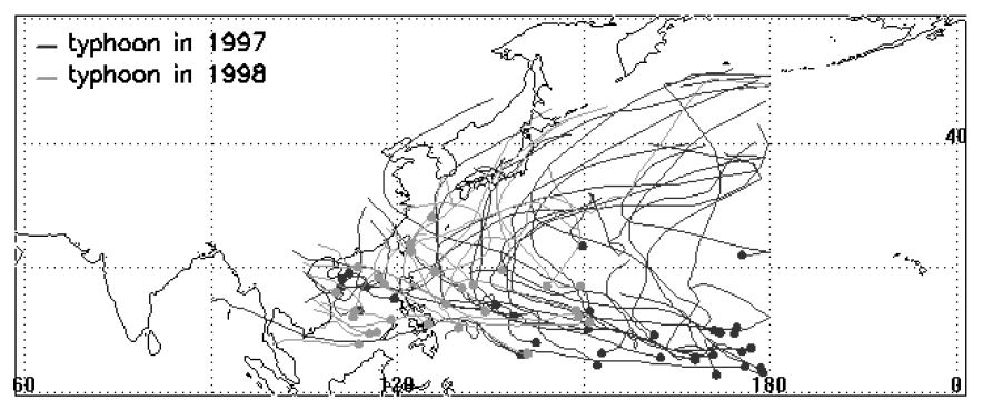 그림 3.1.31 1997년 (짙은 회색선)과 1998년 (밝은 회색선)의 열대 태풍의 트랙.