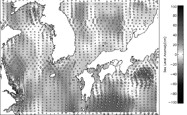 그림 3.3.5 koreancoast에서 제공하는 해수면 고도 및 해류 자료.(2008년 10월 1일)