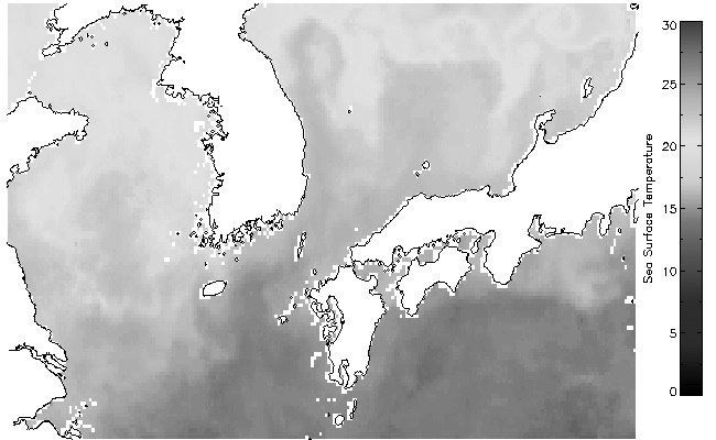 그림 3.3.6 koreancoast에서 제공하는 해수면 온도 자료.(2008년 10월 1일)