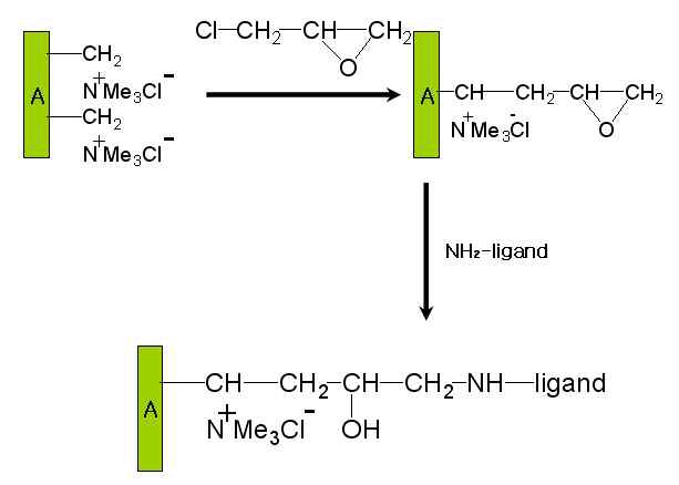 그림3-2. Pore-filled 이온교환막의 리간드결합반응