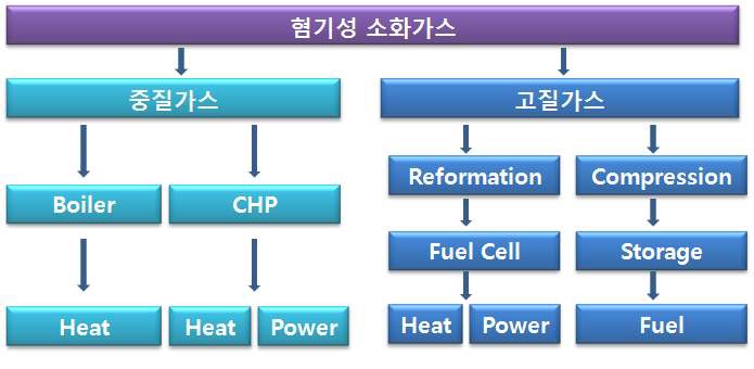 중질, 고질 바이오가스의 사용방법