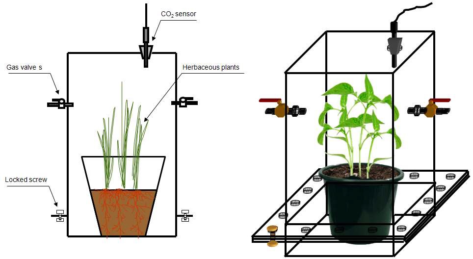 CO2저감을 위한 식물반응기