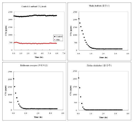 Batch 조건에서 시행된 수생초본류의 CO2저감 농도변화 (PR-1. Control, 대조군; PR-2. T. dealbata, 물칸나; PR-3. E. crasspies, 부레옥잠; PR-4. P. stratiotes, 물상추)