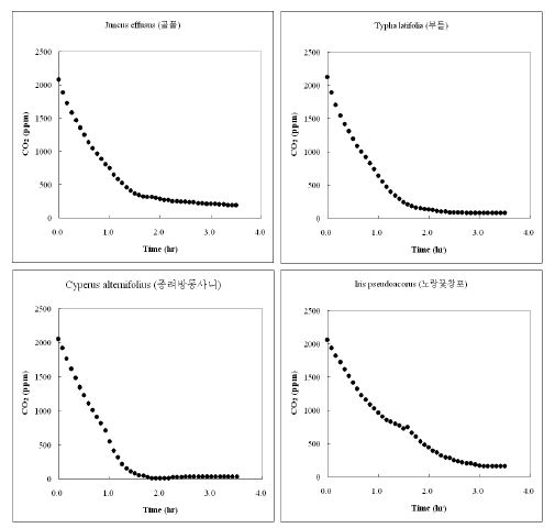 Batch 조건에서 시행된 수생초본류의 CO2저감 농도변화 (PR-5. J. effusus, 골풀; PR-6. T. latifolia, 부들; PR-7. C. alternifolius, 종려방동사니; PR-8. I. pseudoacorus, 노랑꽃창포)