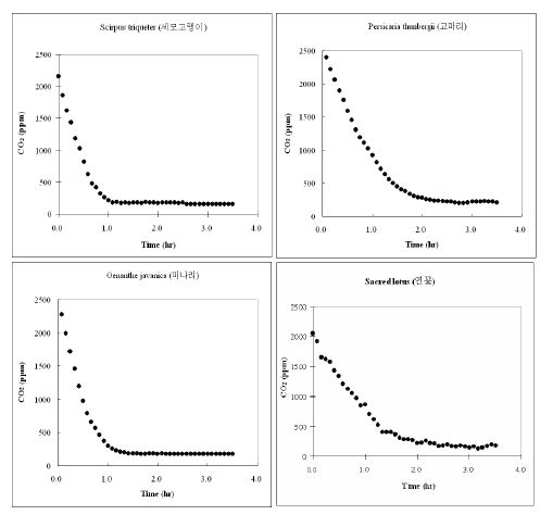 Batch 조건에서 시행된 수생초본류의 CO2저감 농도변화 (PR-13. S. triqueter, 세모고랭이; PR-14. P. thunbergii, 고마리; PR-15. N. nucifera, 연꽃; PR-16. O. javanica, 미나리)