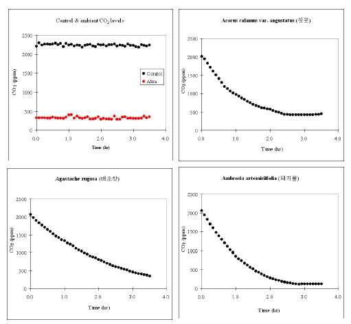Batch 조건에서 시행된 육상초본류의 CO2저감 농도변화 (PR-17. Control; PR-18.:A.calamus, 창포; PR-19. A.rugosa, 배초향; PR-20. A.artemisifoliavat.elatior, 돼지풀)