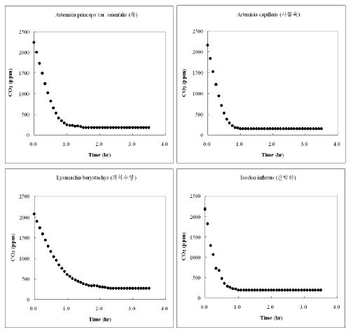 Batch 조건에서 시행된 육상초본류의 CO2저감 농도변화 (PR-21. A. princeps, 쑥; PR-22. A. capillaris, 사철쑥; PR-23. L. barystachys, 까치수영; PR-24. I. inflexus, 산박하)