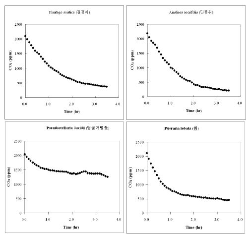 Batch 조건에서 시행된 육상초본류의 CO2저감 농도변화 (PR-25. P. asiatica, 질경이; PR-26. A. acerifolia, 단풍취; PR-27. P. davidii, 덩굴개별꽃; PR-28. P. lobata, 췱)