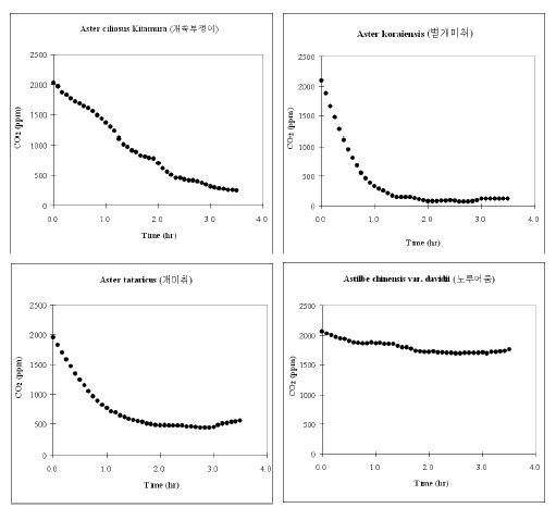 Batch 조건에서 시행된 육상초본류의 CO2저감 농도변화 (PR-33. A.ciliosus, 개쑥부쟁이; PR-34. A. koraensis, 벌개미취; PR-35. A. tataricus, 개미취; PR-36. A, chinensis var. daavidii, 노루어줌)