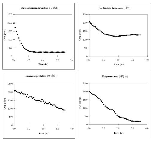 Batch 조건에서 시행된 육상초본류의 CO2저감 농도변화 (PR-41. C. zawadskii var. latilobum, 구절초; PR-42. C. lanceolata, 더덕; PR-43. D. spectabilis, 금낭화; PR-44. E.annuus, 개망초)