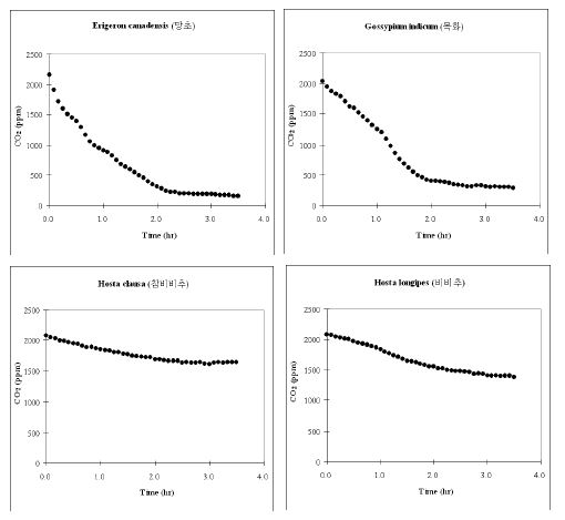 Batch 조건에서 시행된 육상초본류의 CO2저감 농도변화 (PR-45. E.canadensis, 망초; PR-46. G. indicum, 목화; PR-47. H. clausa, 참비비추, PR-48. H. longipes, 비비추)