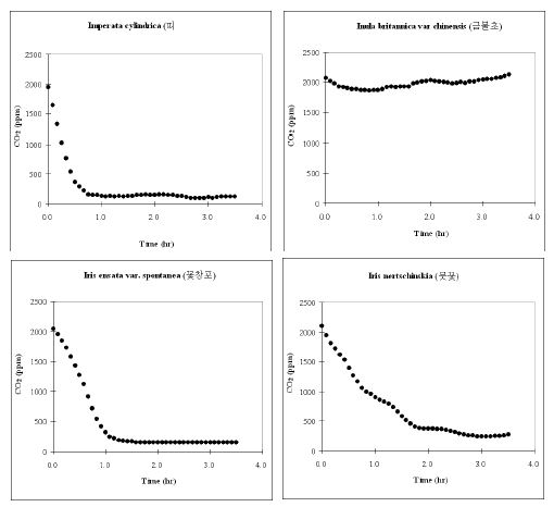 Batch 조건에서 시행된 육상초본류의 CO2저감 농도변화 (PR-49. I.cylindrica var. koenigii, 띠; PR-50. I.britannica var. chinensis, 금불초; PR-51.I.ensata var.spontanea, 꽃창포; PR-52. I. nertschinskia, 붓꽃)