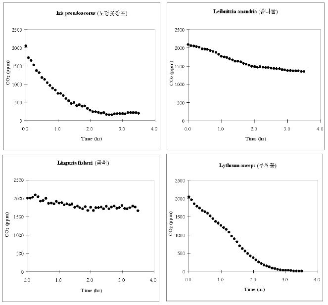 Batch 조건에서 시행된 육상초본류의 CO2저감 농도변화 (PR-53. I. pseudoacorus, 노랑꽃창포; PR-54. I. anandria, 솜나물; PR-55. L. fischeri, 곰취; PR-56. L. anceps, 부처꽃)