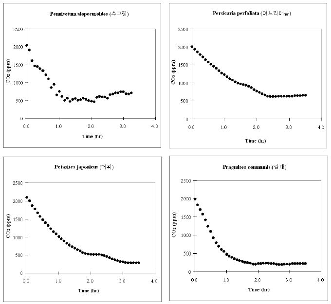 Batch 조건에서 시행된 육상초본류의 CO2저감 농도변화 (PR-57. P. alopecuroides, 수크령; PR-58. P. perfoliata, 며느리배꼽, PR-59. P. japonicus, 머위; PR-60. P. communis Trin, 갈대)