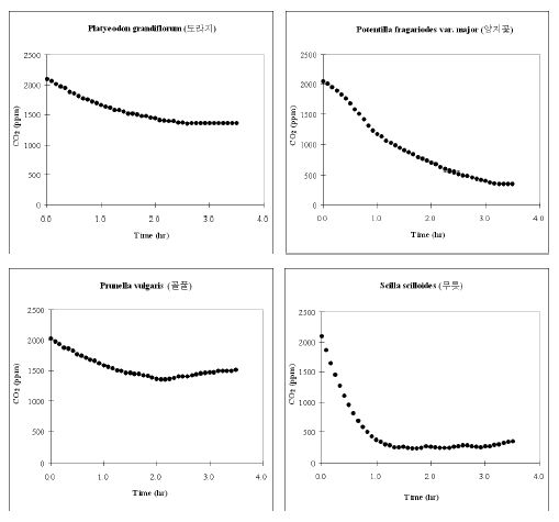 Batch 조건에서 시행된 육상초본류의 CO2저감 농도변화 (PR-61. P. grandiflorum, 도라지; PR-62. P. fragariodes var. major, 양지꽃; PR-63. P. vulgaris var. lilacina, 꿀풀; PR-64. S. scilloides, 무릇)