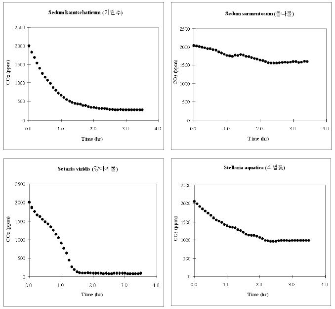 Batch 조건에서 시행된 육상초본류의 CO2저감 농도변화 (PR-65. S. kamtschaticum, 기린초; PR-66. S. sarmentosum, 돌나물; PR-67. S. viridis, 강아지풀; PR-68. S. aquatica, 쇠별꽃)