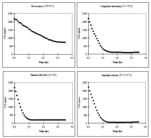 Batch 조건에서 시행된 육상초본류의 CO2저감 농도변화 (PR-81. H. minor, 섬비비추; PR-82. C. takesimana, 섬초롱꽃; PR-83. O. odorata, 황금달맞이; PR-84. H. fulva, 원추리)