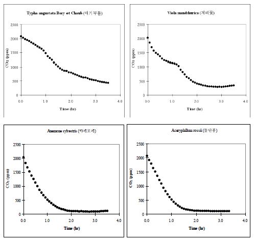 Batch 조건에서 시행된 육상초본류의 CO2저감 농도변화 (PR-69. T. angustata Bory et Chaub, 애기부들; PR-70. V. mandschurica, 제비꽃 PR-71. A. rossii, 돌단퐁; PR-72. A. sylvestris,아네모네)