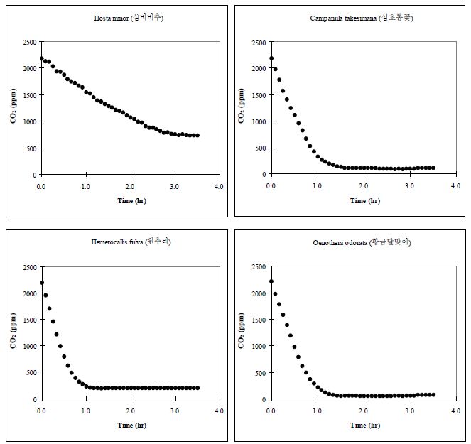 Batch 조건에서 시행된 육상초본류의 CO2저감 농도변화 (PR-81. H. minor, 섬비비추; PR-82. C. takesimana, 섬초롱꽃; PR-83. O. odorata, 황금달맞이; PR-84. H. fulva, 원추리)