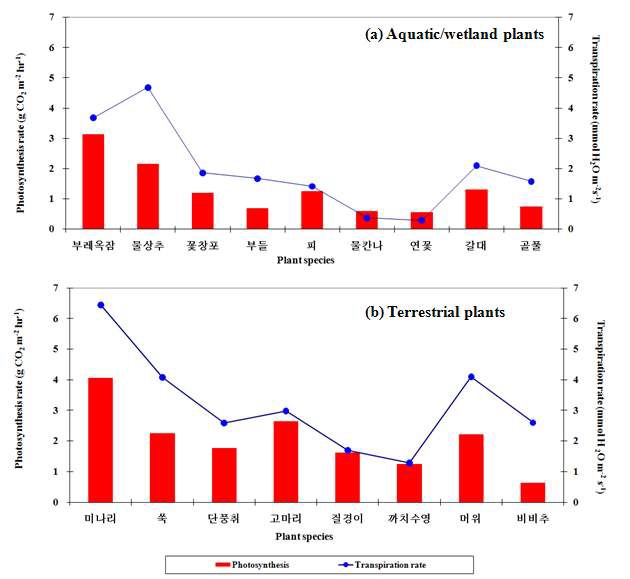 식물의 증발률에 미치는 광합성률과 식물종의 영향