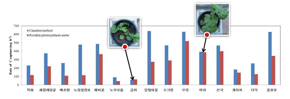 한국과학기술연구원 실험실내의 식생반응기 방법과 이동식 광합성 측정기로 분석하는 방법으로 얻어진 이산화탄소 제거율의 비교