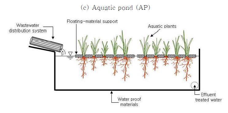 일반적인 수생식물 수처리 시스템