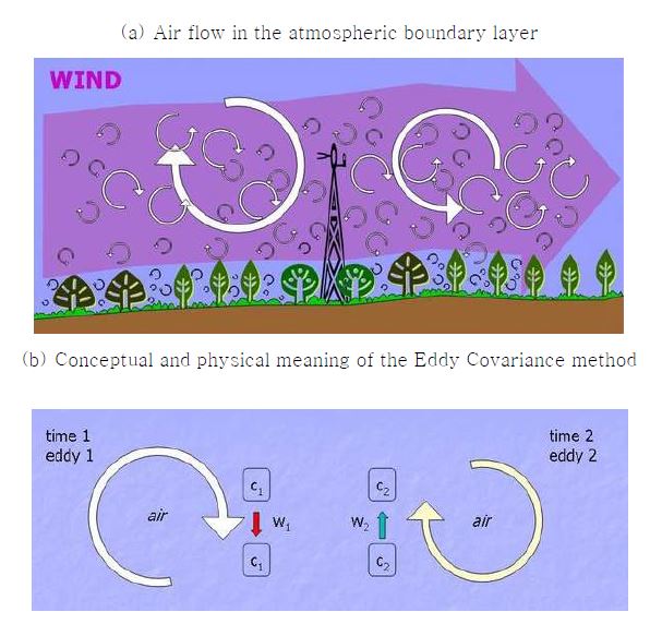 Eddy Covariance technique 의 기본적 원리 와 가스 모니터링 시스템에 연결된 온실에서의 기술의 활용