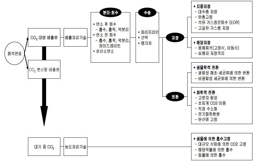 CCS 기술 체계도