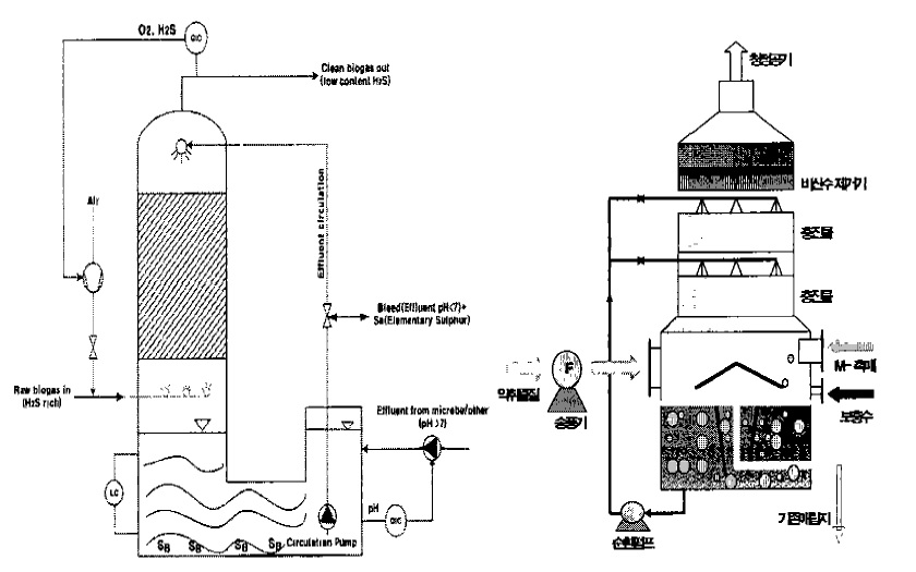 H2S의 제거공정의 일례 (생물학적 처리공법 및 촉매 흡수탑)