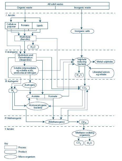 폐기물의 분해와 매립가스의 생성단계