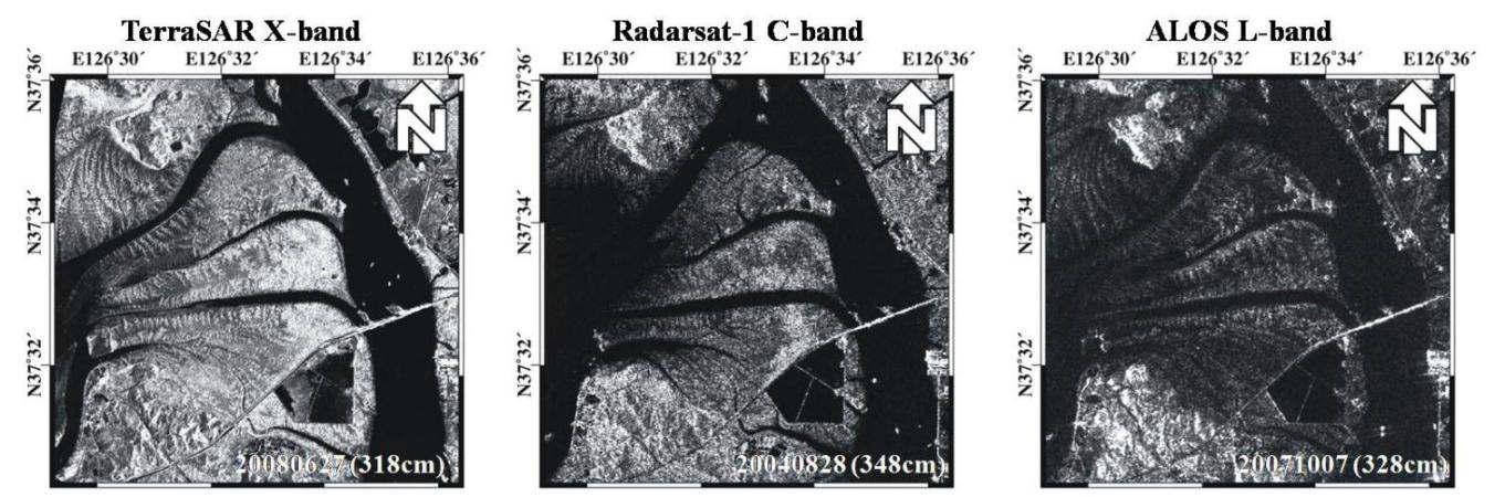비슷한 조위를 갖는 TerraSAR-X, Radarsat-1, ALOS 영상에서 획득된 영종도 북단 조간대