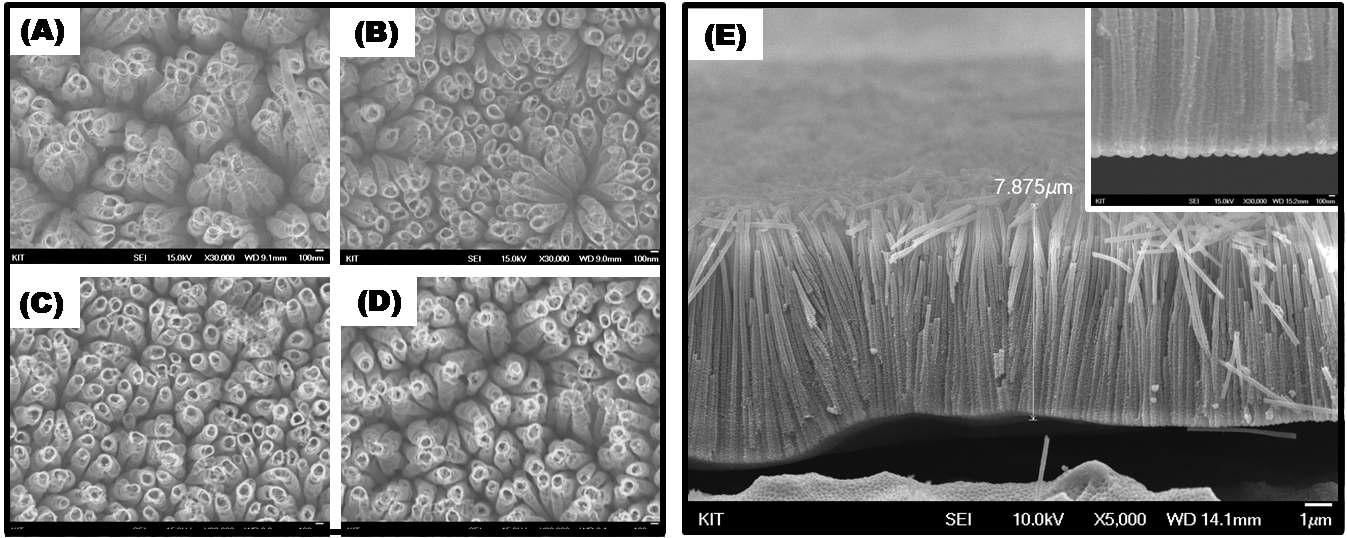 제조된 샘플의 SEM 이미지. (A)는 도핑전, (B)carbon ion, (C)nitrogen ion, (D)C/N이 도핑된 샘플의 표면이미지. (E)샘플의 단면이미지.