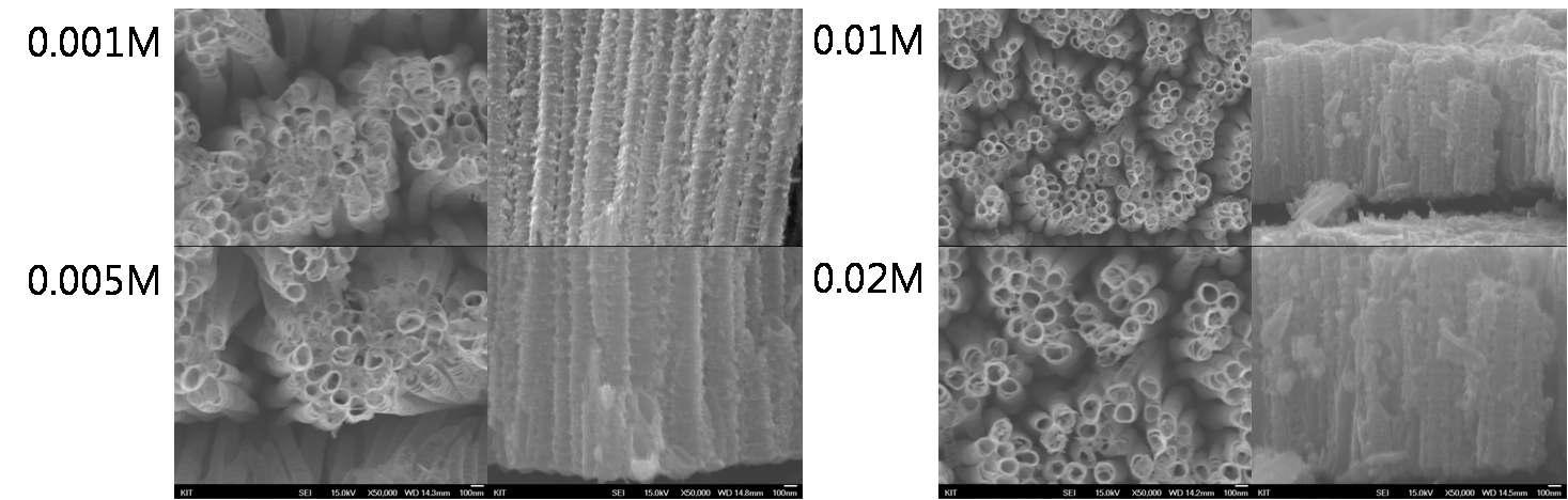 몰수 변화에 따른 Bi2O3 sensitizer의 흡착 SEM image.