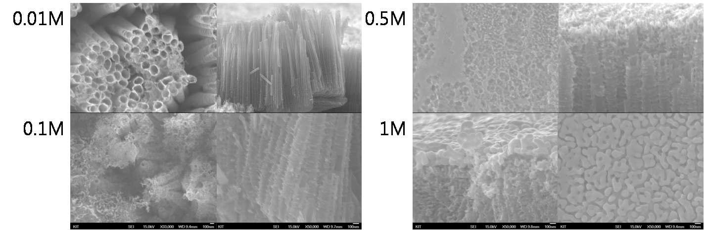 몰수 변화에 따른 BiVO4 sensitizer의 흡착 SEM image