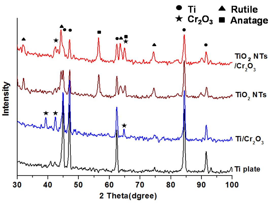 XRD patterns of the TiO2 NTs, TiO2 NTs/Cr2O3, Ti plate/Cr2O3, Ti plate.