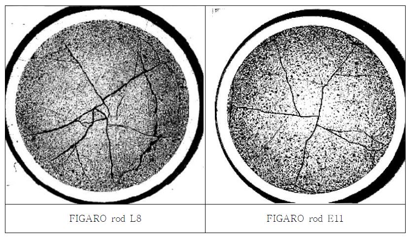 그림 3.4.4. Micrographs of MIMAS MOX (FIGARO project[3.4.5])