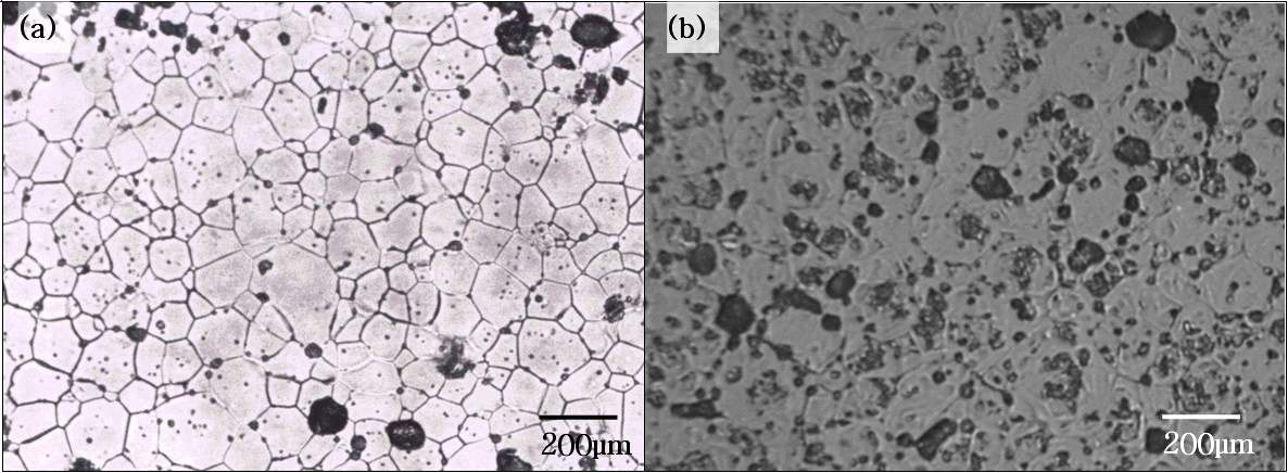 그림 3.1.4. Ce-MOX(a) 및 Pu-MOX(b) 소결체의 미세조직 비교
