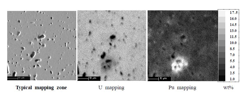 그림 3.1.6. Pu-MOX소결체에서 U 및 Pu의 분포