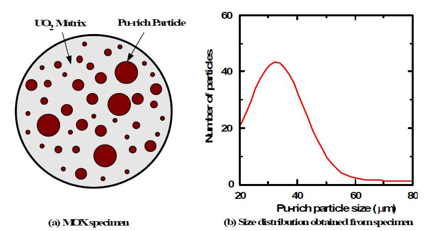 그림 3.2.5. 혼합핵연료에서 Pu-rich 입자 및 크기 분포.