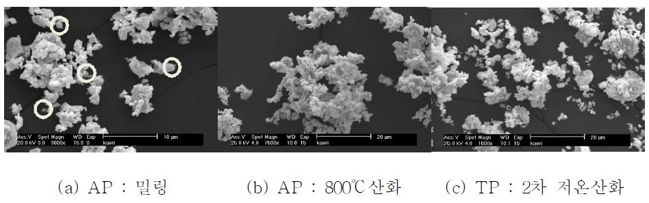 그림 3.3.3.5 밀링 및 열처리 공정에 따른 분말 SEM관찰 형상